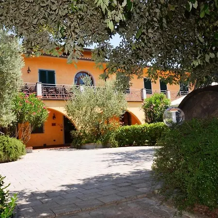 Poggio Degli Olivi-2