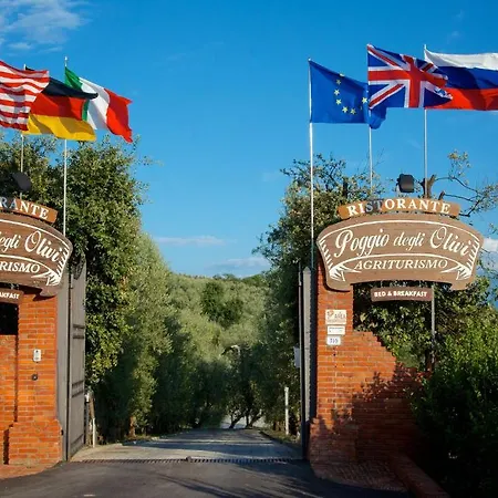 Poggio Degli Olivi-3